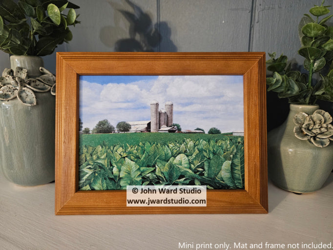 Deep in Tradition by John Ward www.jwardstudio.com tobacco field old barn farming