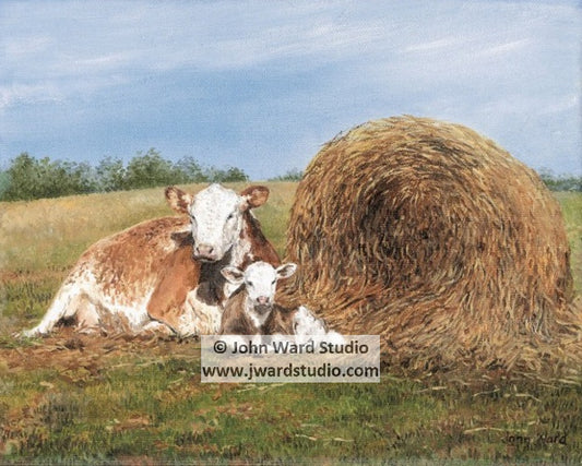 Attentive Mother by John L. Ward www.jwardstudio.com cattle mother cow and calf art heifer and calf art
