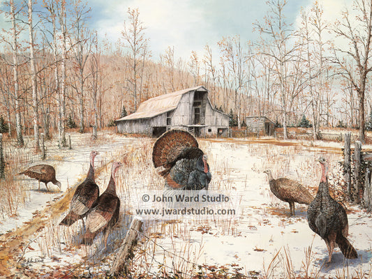 Barnyard Gobblers by John L. Ward www.jwardstudio.com Turkeys in a winter field hens jake tom turkey hunting Eastern wild turkey
