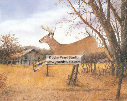 Breaking Cover by Kentucky artist John L. Ward www.jwardstudio.com deer wildlife hunting barn buck deer hunting art