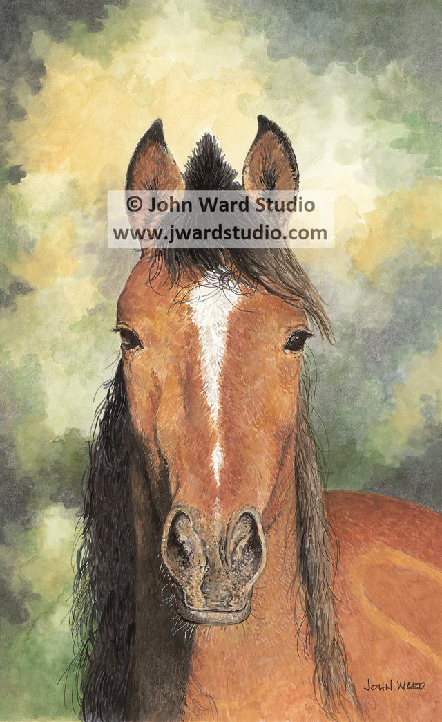 Nutmeg by John Ward www.jwardstudio.com brown horse portrait