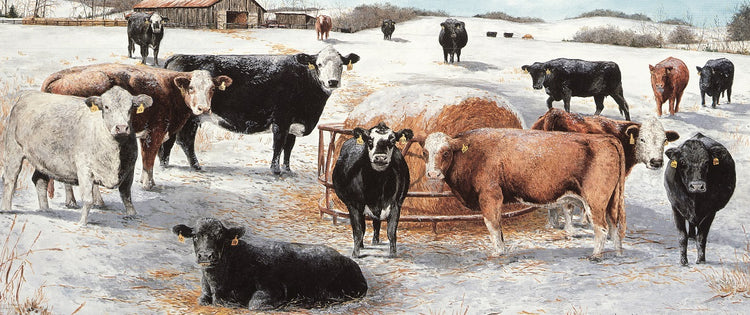 Cattle