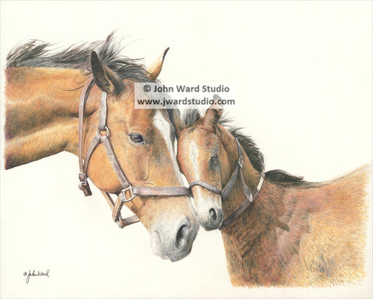 Affection by John L. Ward www.jwardstudio.com mother and foal horses love affection Kentucky artist