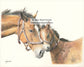 Affection by John L. Ward www.jwardstudio.com mother and foal horses love affection Kentucky artist