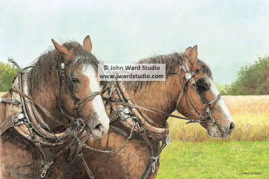 Beau and Jack two horses by John Ward draft horses farming Kentucky