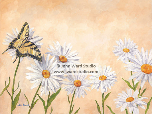Butterfly and Daisies by John Ward www.jwardstudio.com white daisies flower yellow butterfly