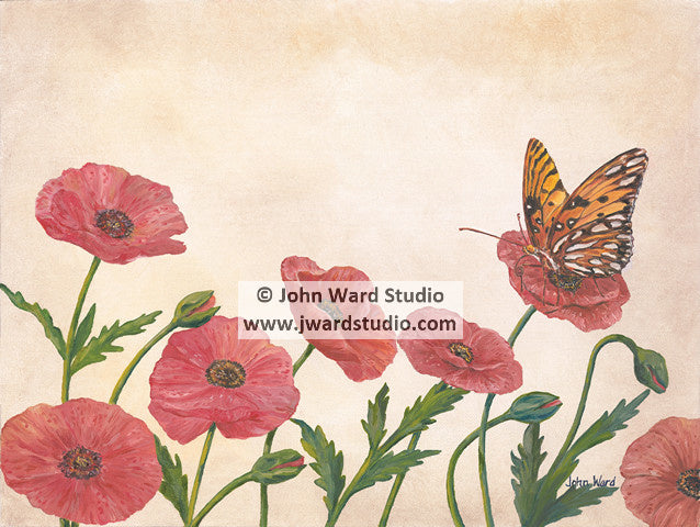 Poppies by John Ward www.jwardstudio.com red poppy flower orange butterfly