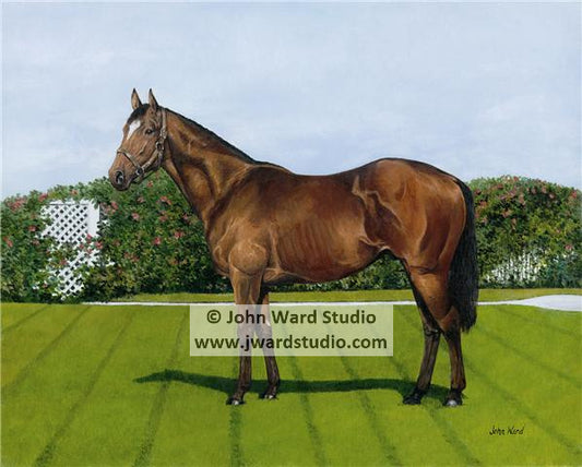 Conformation by John Ward www.jwardstudio.com horse