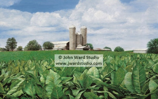 Deep in Tradition by John Ward www.jwardstudio.com tobacco farming barn