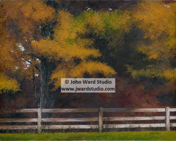 Autumn Afternoon by John Ward www.jwardstudio.com fall leaves trees color fence Kentucky autumn