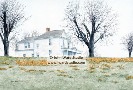 Field of Lilies by John L. Ward www.jwardstudio.com yellow flowers white house landscape
