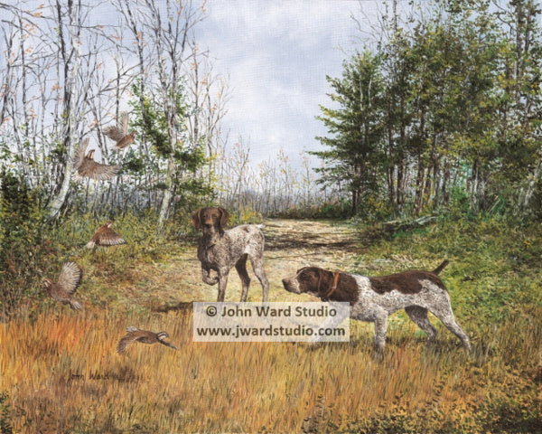 Flush by John Ward www.jwardstudio.com quail hunting dog german shorthair