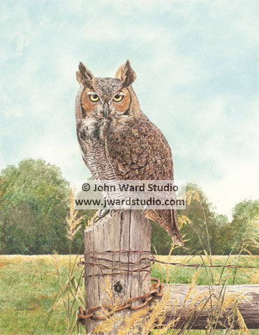 Great Horned Owl by John Ward www.jwardstudio.com bird wildlife fence