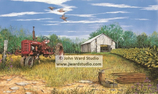 Housing Time by John Ward Farmall Tractor www.jwardstudio.com tobacco barn farming