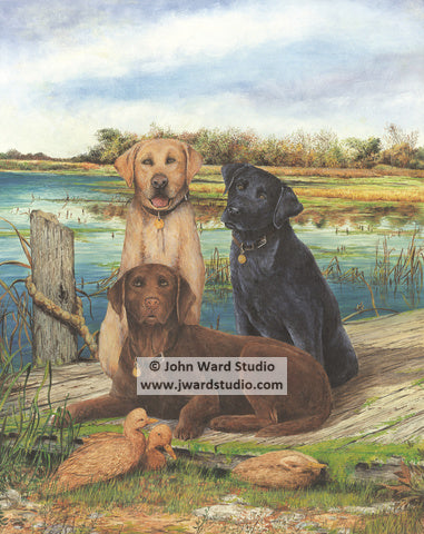 Just Labs by John Ward www.jwardstudio.com dog duck retriever