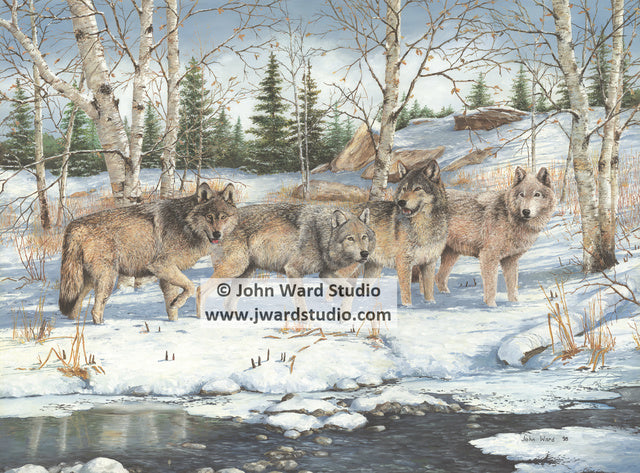 Masters of the Forest by John Ward www.jwardstudio.com wolf woods snow