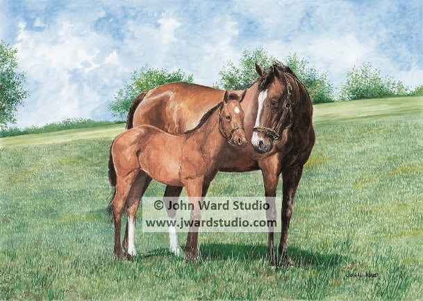 Mothers Love by John Ward mother and foal horse