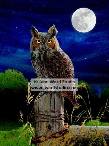 Night Patrol by John Ward www.jwardstudio.com Owl moon fence post