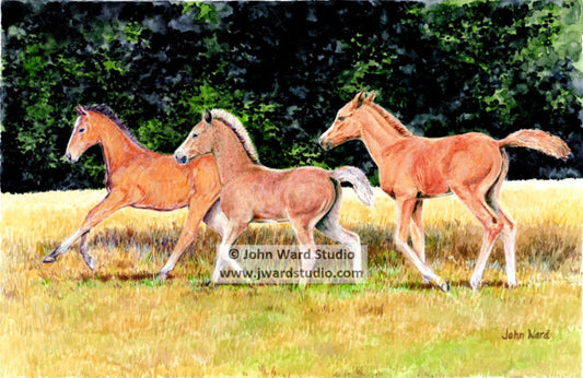 Out for a Run by John Ward www.jwardstudio.com horses horses farm