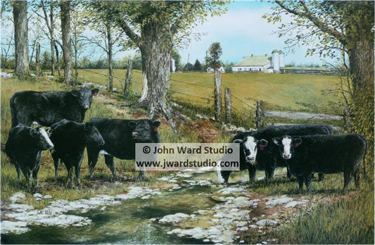 Peaceful Spring by John Ward www.jwardstudio.com cattle farm Kentucky Simmental Association