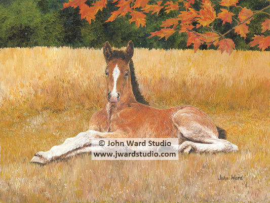 Playful by John Ward www.jwardstudio.com horse farm