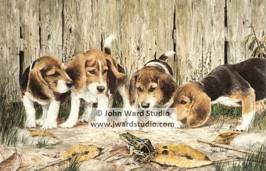Puzzled Pups by John Ward www.jwardstudio.com beagle dog frog puppy