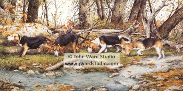 Run on Indian Creek by John Ward www.jwardstudio.com beagle hunting creek dog