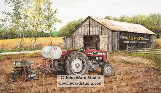 Springtime Planting by John Ward www.jwardstudio.com barn tobacco Massey Ferguson tractor