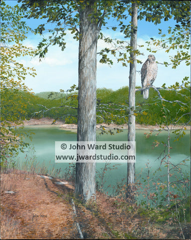Summer Reflections by John Ward Kentucky 4-H owl lake www.jwardstudio.com