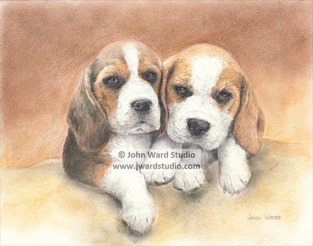 Together by John Ward www.jwardstudio.com beagle dog puppies