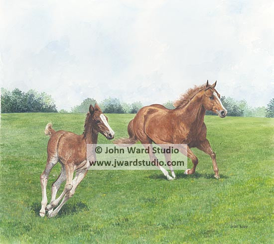 Unbridled Spirit by John Ward www.jwardstudio.com horses running mare and colt foal Kentucky art