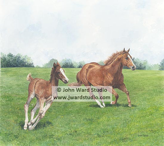 Unbridled Spirit by John Ward www.jwardstudio.com horses running mare and colt foal Kentucky art