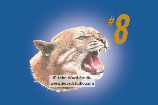 Wildcat #8 by John Ward www.jwardstudio.com UK Kentucky Wildcats