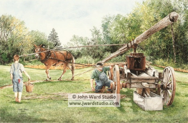 Working the Sorghum Mill by John Ward www.jwardstudio.com farm West Liberty Kentucky Sorghum Festival